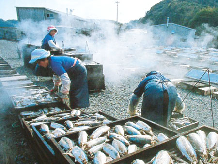 弊社は、鰹節、雑節原料の卸売問屋です。