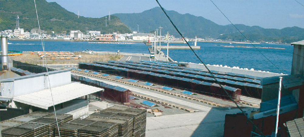 藍より青く、海の幸に恵みあれ